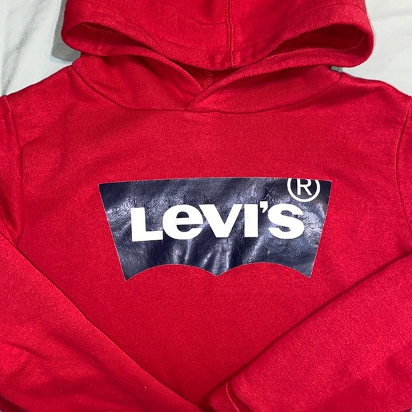 Kids Levi’s Hoodie - Picture 1 of 1